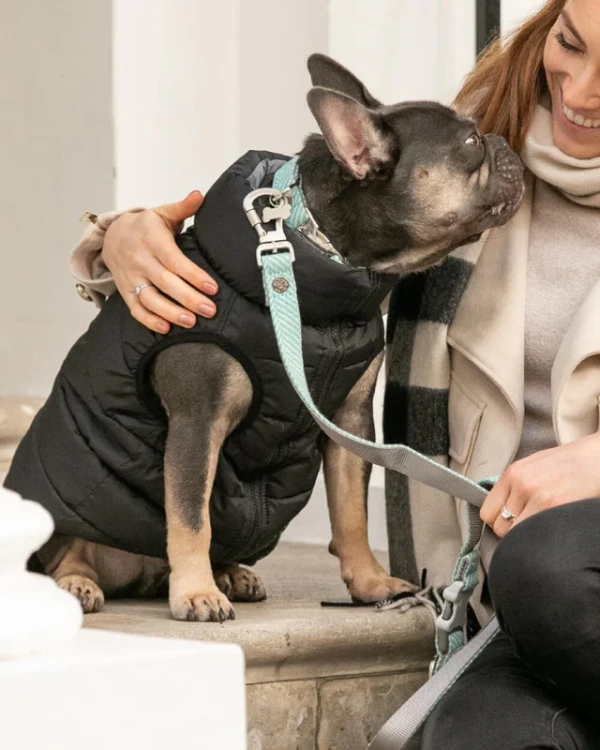 4tmb26_640x800_crop_center.webp