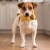 kong-snuzzles-mini-lama-xs-13-5-x-7-x-3-cm (1).webp