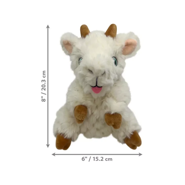 KONGRCT34E+4-main.webp