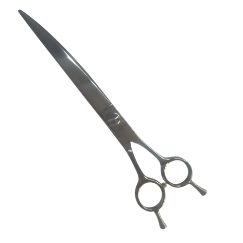2116635438.png