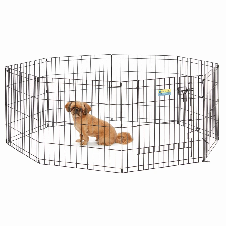 560-24_dog.jpg