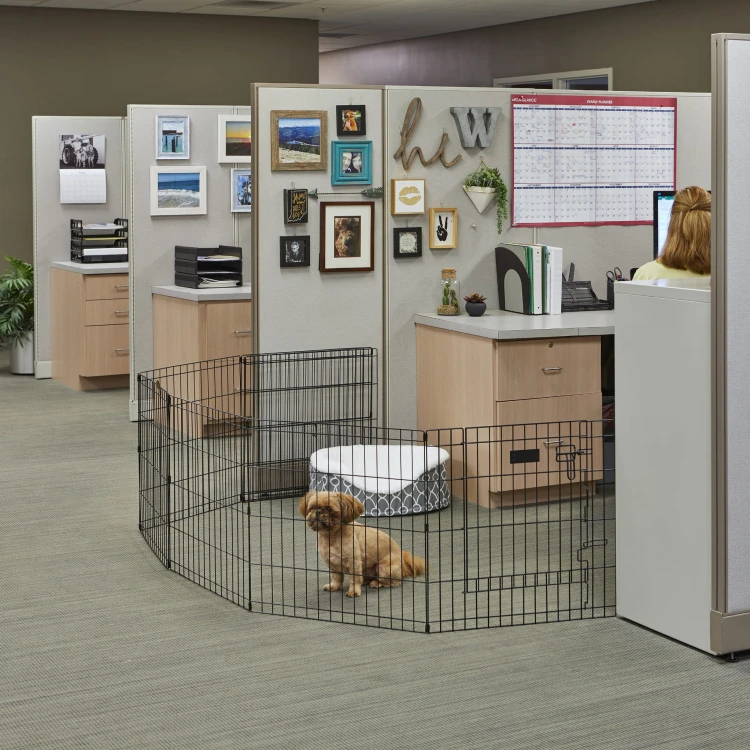 560-24_Cubicle_sit.jpg