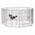 562-30_dog.jpg