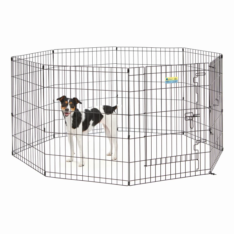 562-30_dog.jpg