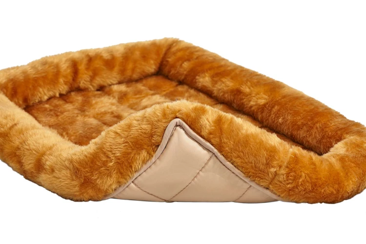 MW_2017_Cinnamon Underside Detail on White.jpg