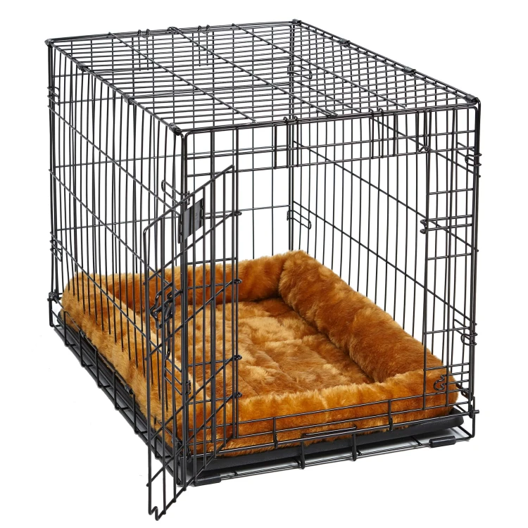 MW_2017_Cinnamon in Crate on White.jpg