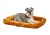 MW_2017_Dog on Cinnamon on White.jpg