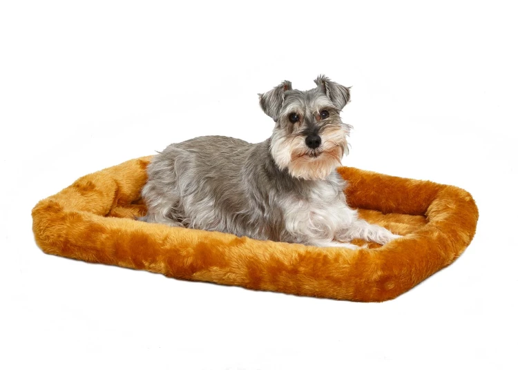 MW_2017_Dog on Cinnamon on White.jpg