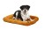 MW_2017_Dog on 24_ Cinnamon on White.jpg