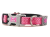pink_mesh_grande.png