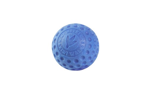 TPR-833_Ball_Mini_Blue_1.jpg