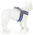 Szelki Easy Harness HHVMR10009-7 – ciemny morski w biało szare paski rozm. 7 – marki Hugo & Hudson 