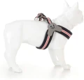 Szelki Easy Harness HHVMR10005-8 – granatowe w biało - czerwone paski rozm. 8 – marki Hugo & Hudson  