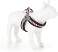 Szelki Easy Harness HHVMR10005-8 – granatowe w biało - czerwone paski rozm. 8 – marki Hugo & Hudson  