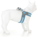 Szelki Easy Harness HHVMR10007-8 – niebieskie w szaro-białe paski rozm. 8 – marki Hugo & Hudson 