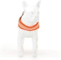 Szelki Easy Harness HHVMR10002-8 –  pomarańczowe w biało szare paski rozm. 8 – marki Hugo & Hudson   