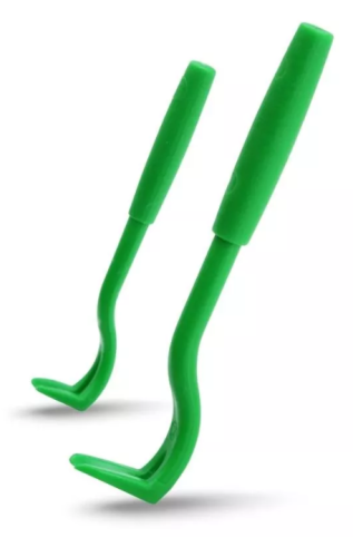 kleszczołapki 4.png