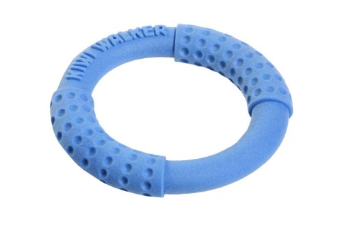 TPR-219_Frisbee_Maxi_Blue_1.jpg