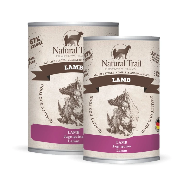 lamb-800-400.jpg