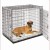 SL54DD_40254_dog.jpg