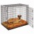 SL54DD_40254-CN_dog.jpg