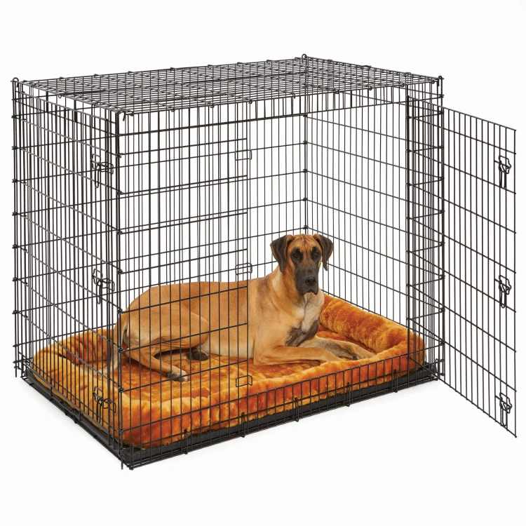 SL54DD_40254-CN_dog.jpg
