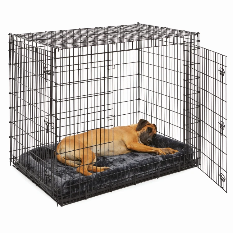 SL54DD_40254-GY_dog_2.jpg