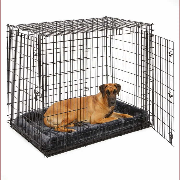 SL54DD_40254-GY_dog.jpg
