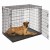 SL54DD_dog_lay.jpg