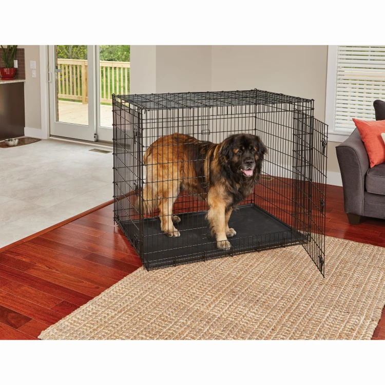 SL54DD_dog_lifestyle_stand.jpg