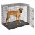 SL54DD_dog_stand.jpg