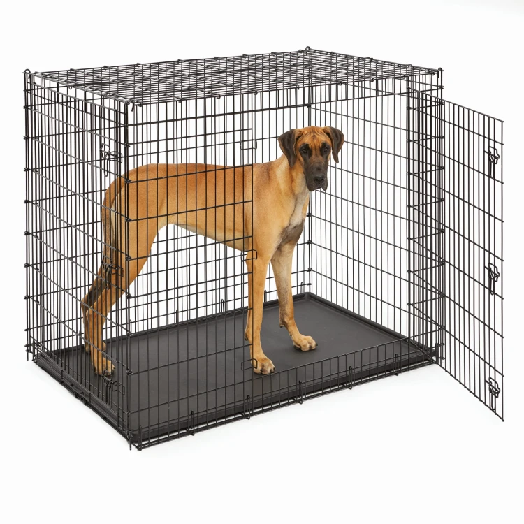 SL54DD_dog_stand.jpg