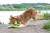 TPR-824_Frisbee_Mini_Green_7.jpg