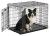 MW_2017_736UP_dog_hr.jpg