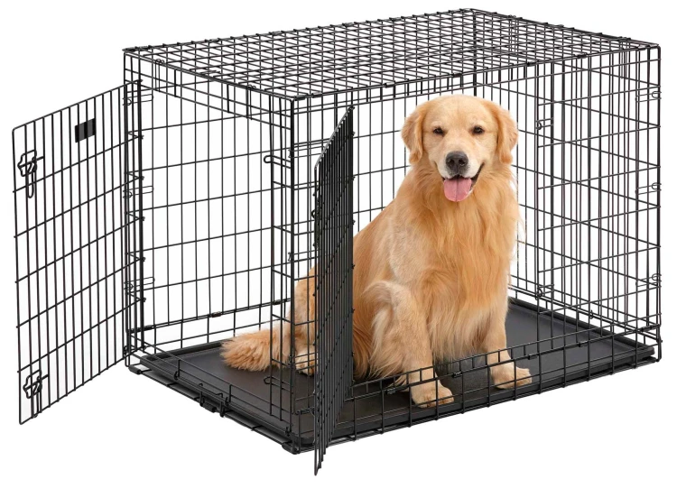 MW_2017_742UP_dog_hr.jpg