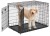 MW_2017_748UP_dog_hr.jpg