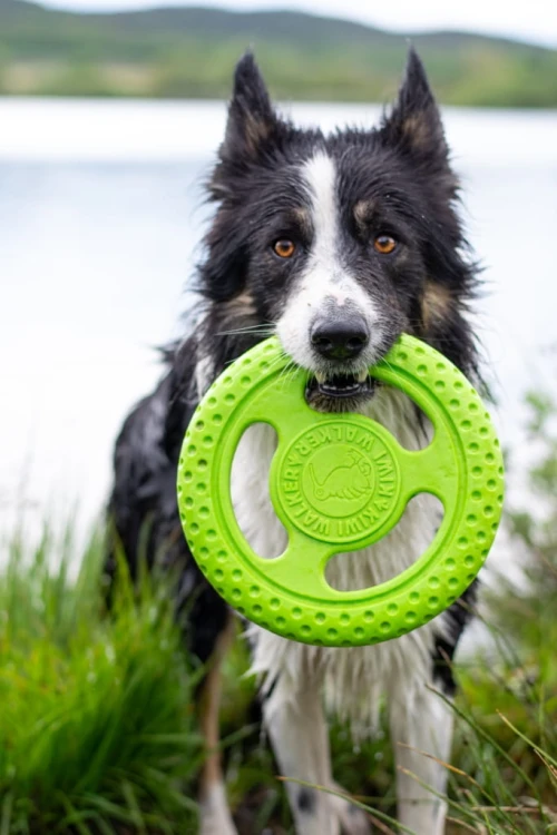 TPR-824_Frisbee_Mini_Green_4.jpg