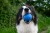 TPR-224_Ball_Maxi_Blue_3.jpg